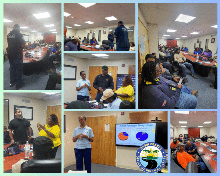 VIOHS - WAPA Session Collage
