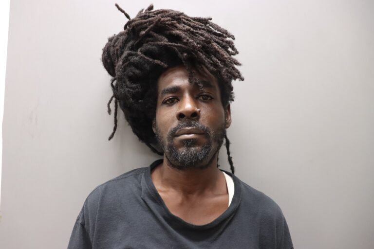 ROSHAWN FABIEN - STT