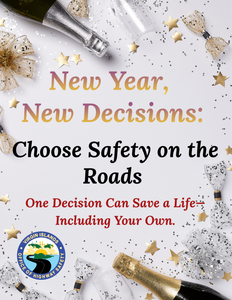 VIOHS - New Year, New Decisions Choose Safety on the Roads Flyer