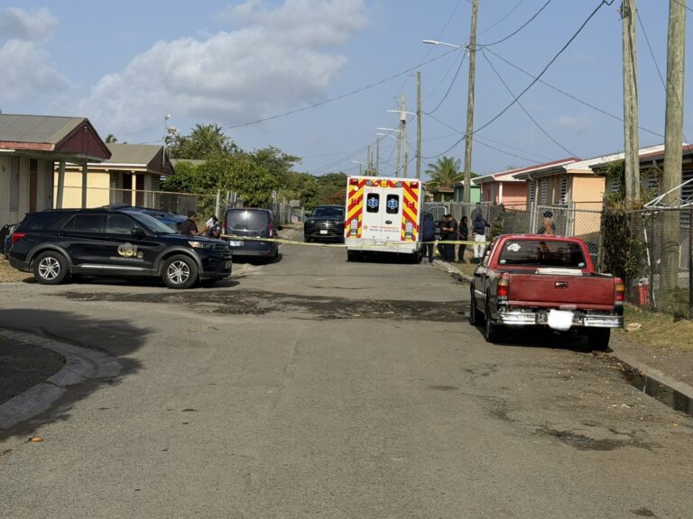SCENE OFFICER SHOOTING IN WILLIAMS DELIGHT